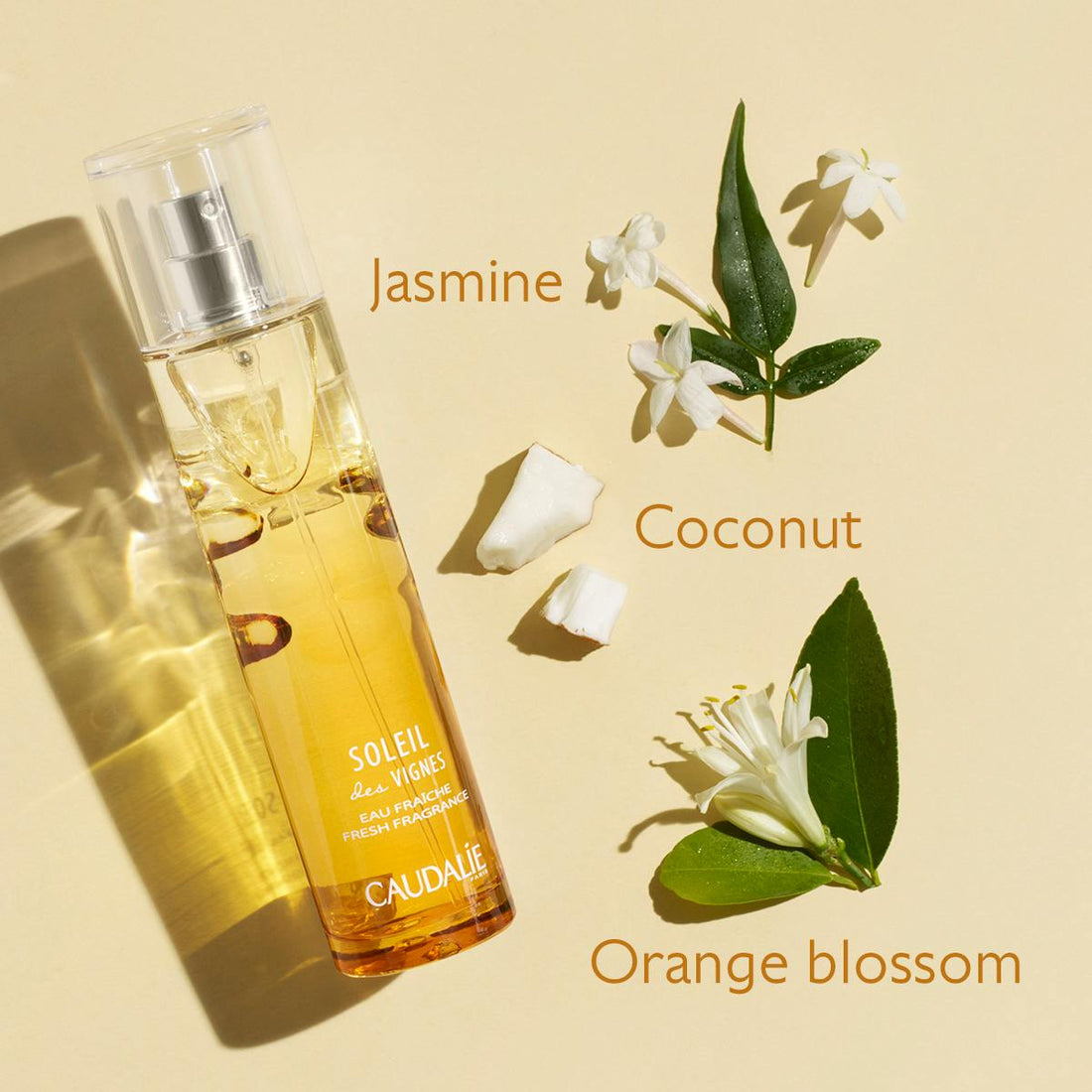 Caudalie Soleil Des Vignes Fresh Fragrance 50 ml