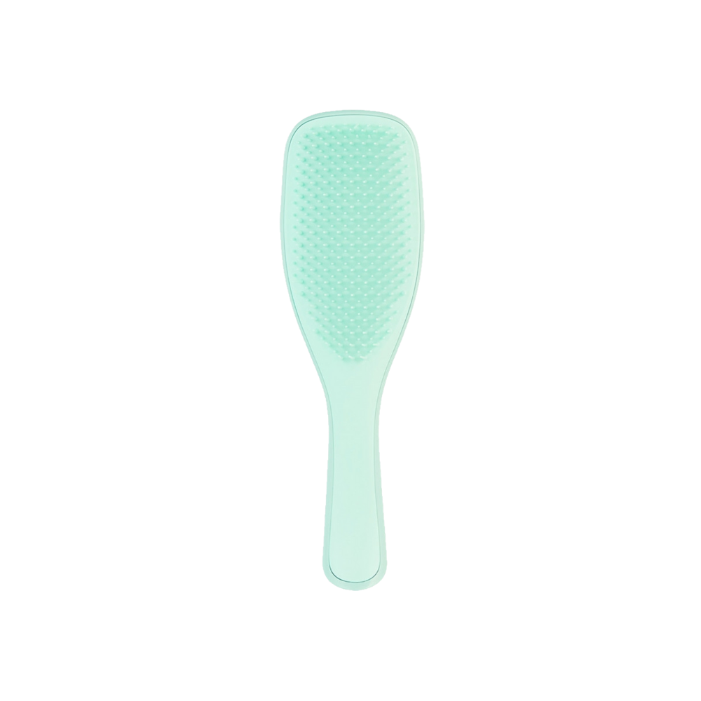 Tangle Teezer The Ultimate Wet Detangler Regular Jade Lagoon Mint Hair Brush